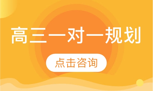 高三一对一辅导